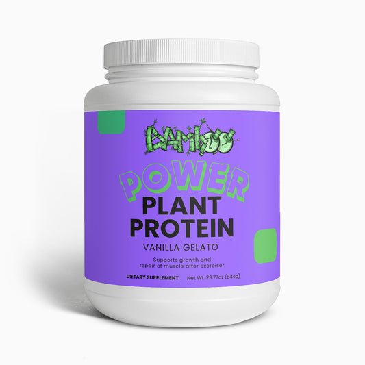 Plant Protein (Vanilla)